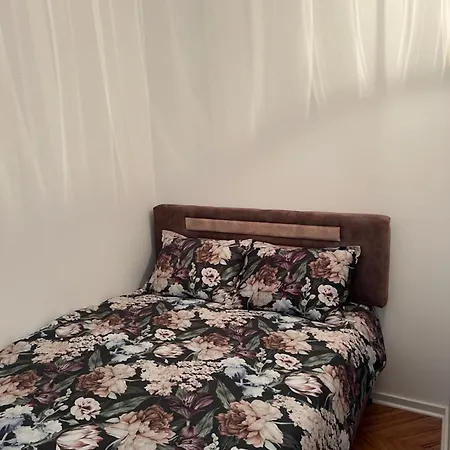 Appartement Aurora Indjija Indija