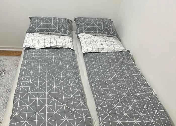 Aurora Indjija Indija